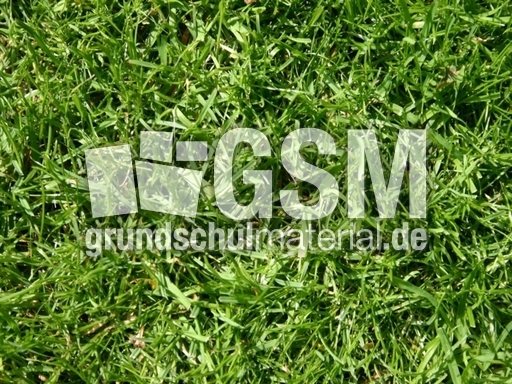 C-Hintergrund 027.jpg